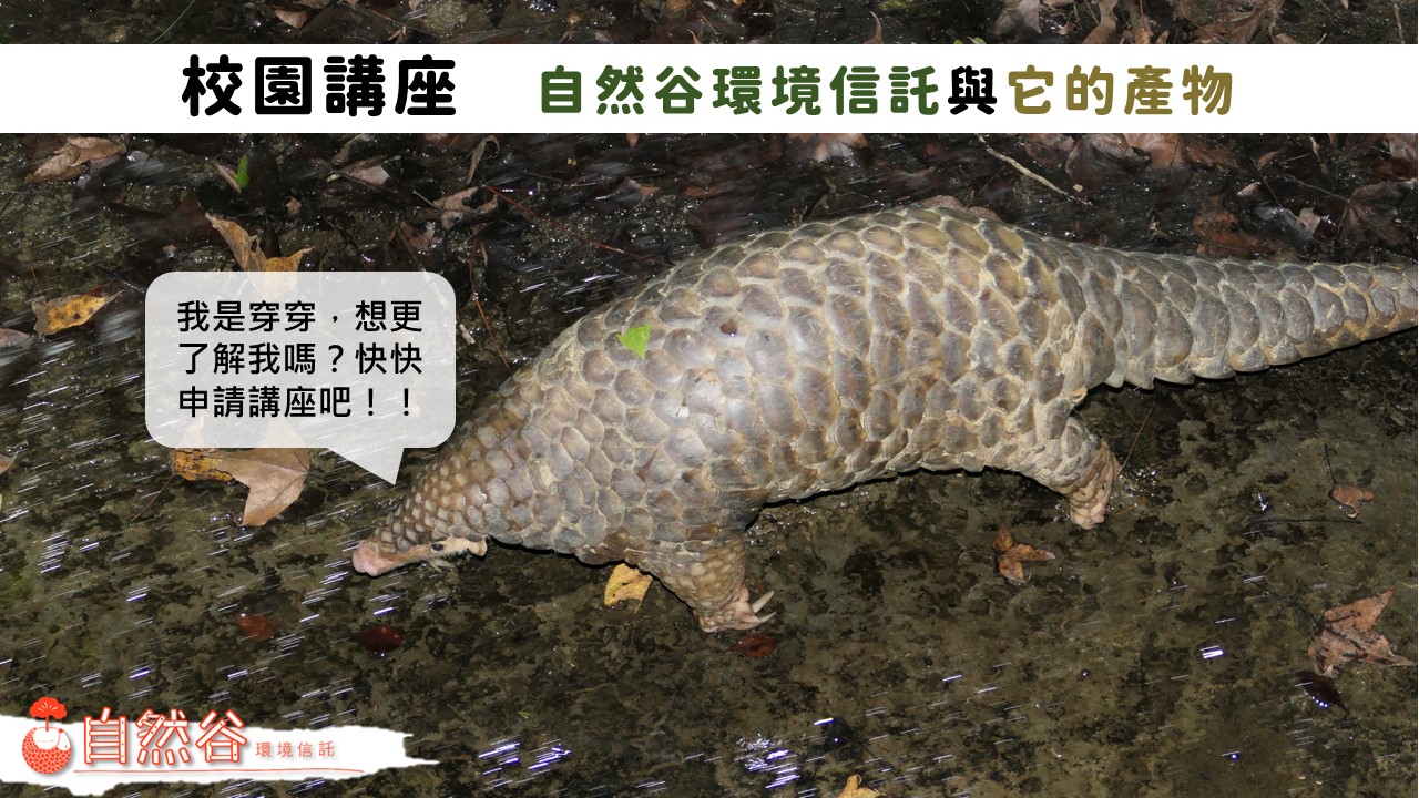 (2)_16