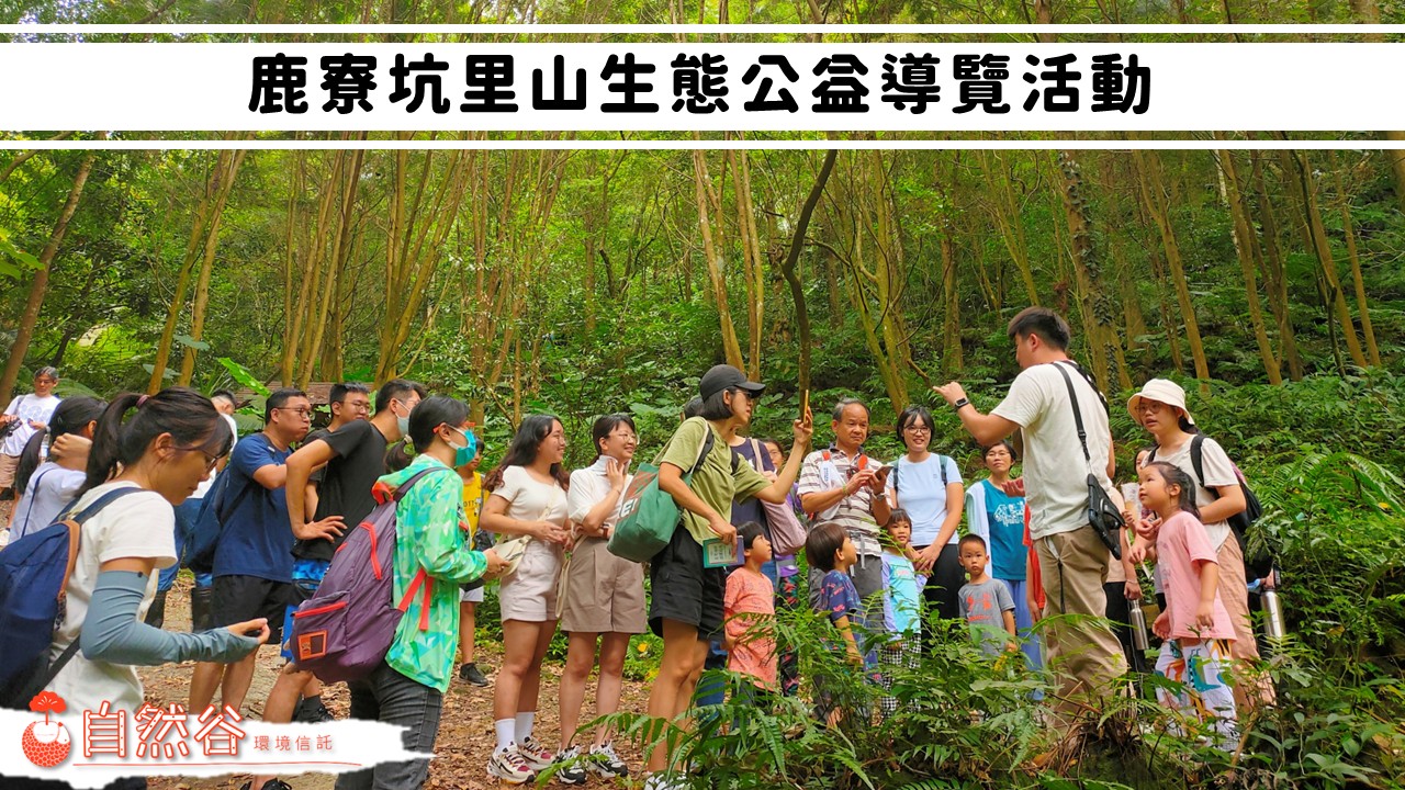 官網宣傳首圖